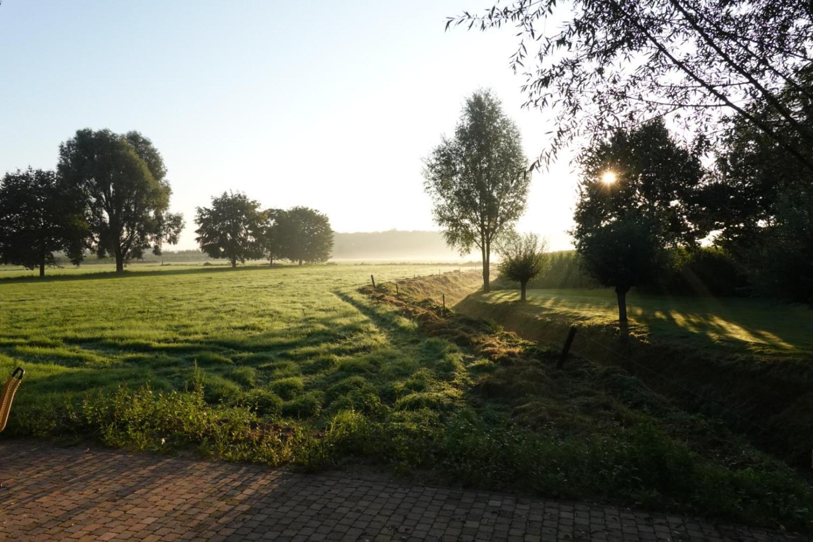 De Knotwilg Villa Loon op Zand Exteriör bild